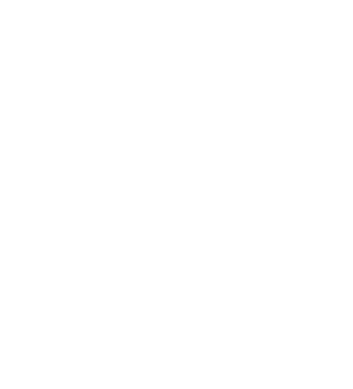 camac - Black spider logo white 119